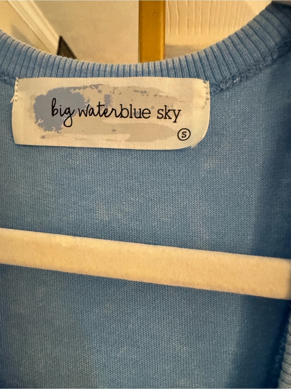 Lizard thicket big water blue sky - Picture 2 of 3